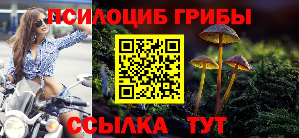 Елабуга  Галлюциногенные грибы Cubensis  Галлюциногенные грибы GOLDEN TEACHER  Вход с VPN 
